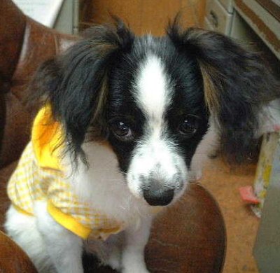 �s�K����